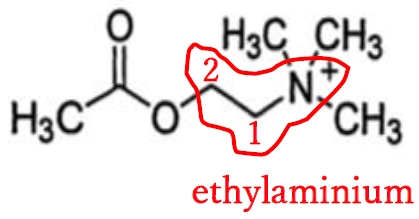 アセチルコリン塩化物 薬剤師国家試験